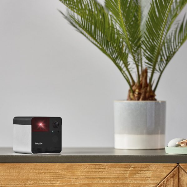 Petcube Indoor Wireless 1080p Surveillance System Home-7