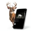 Spypoint Flex Plus Cellular Trail Camera 36MP Wildlife-2