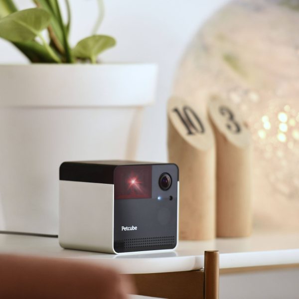 Petcube Indoor Wireless 1080p Surveillance System Home-5